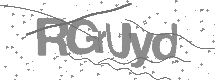 visual captcha